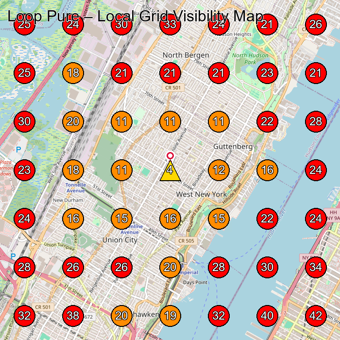 Loop Pure GeoGrid visibility map for House Cleaning Service in North Bergen